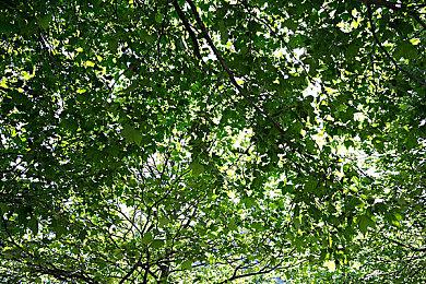 尻控必玩爆笑对战游戏《尻战士》12月发售